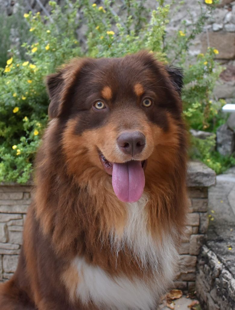 Heureux élu pour miss Taï !